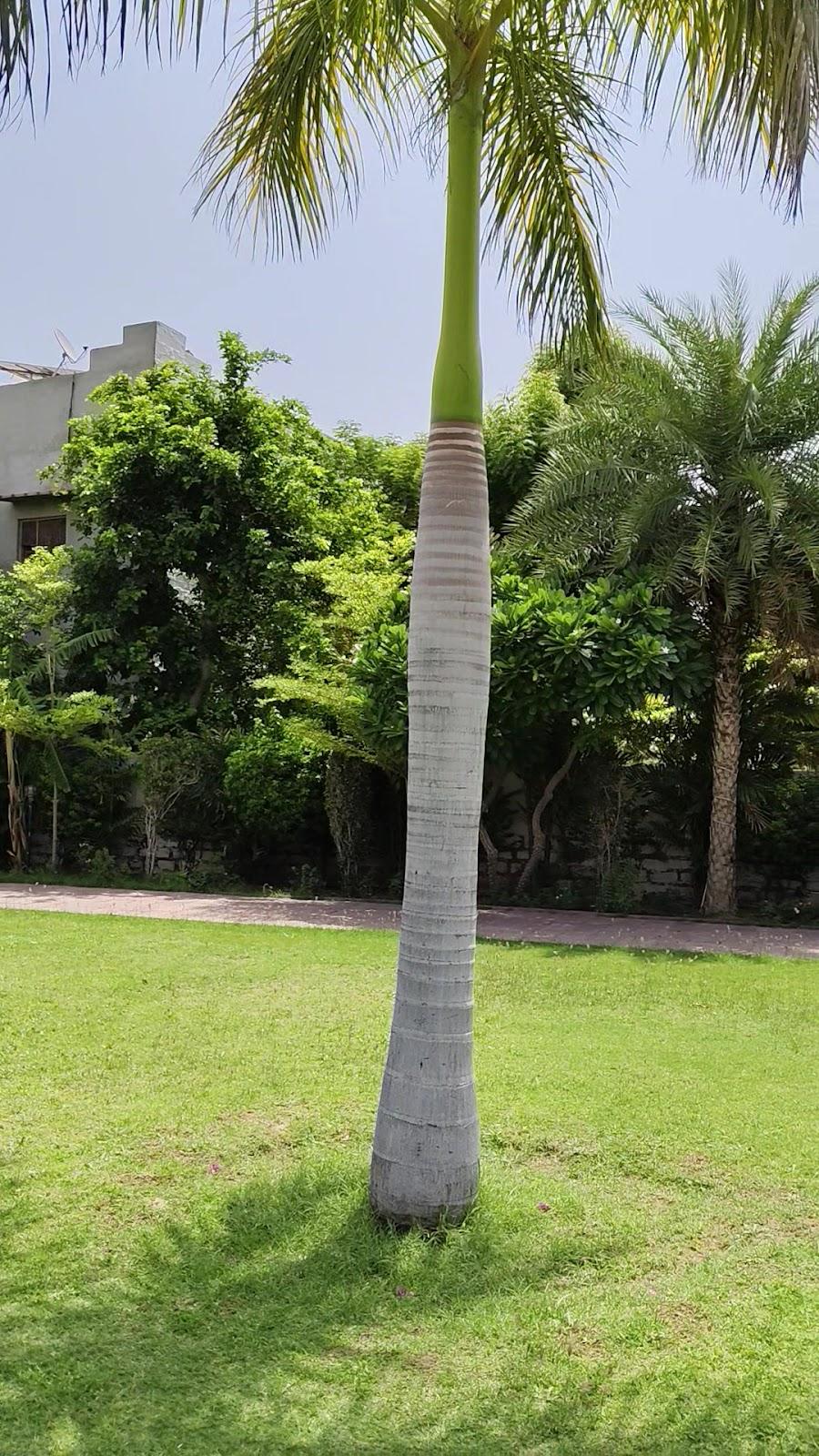 Deora Resort & Hotel – photo 2