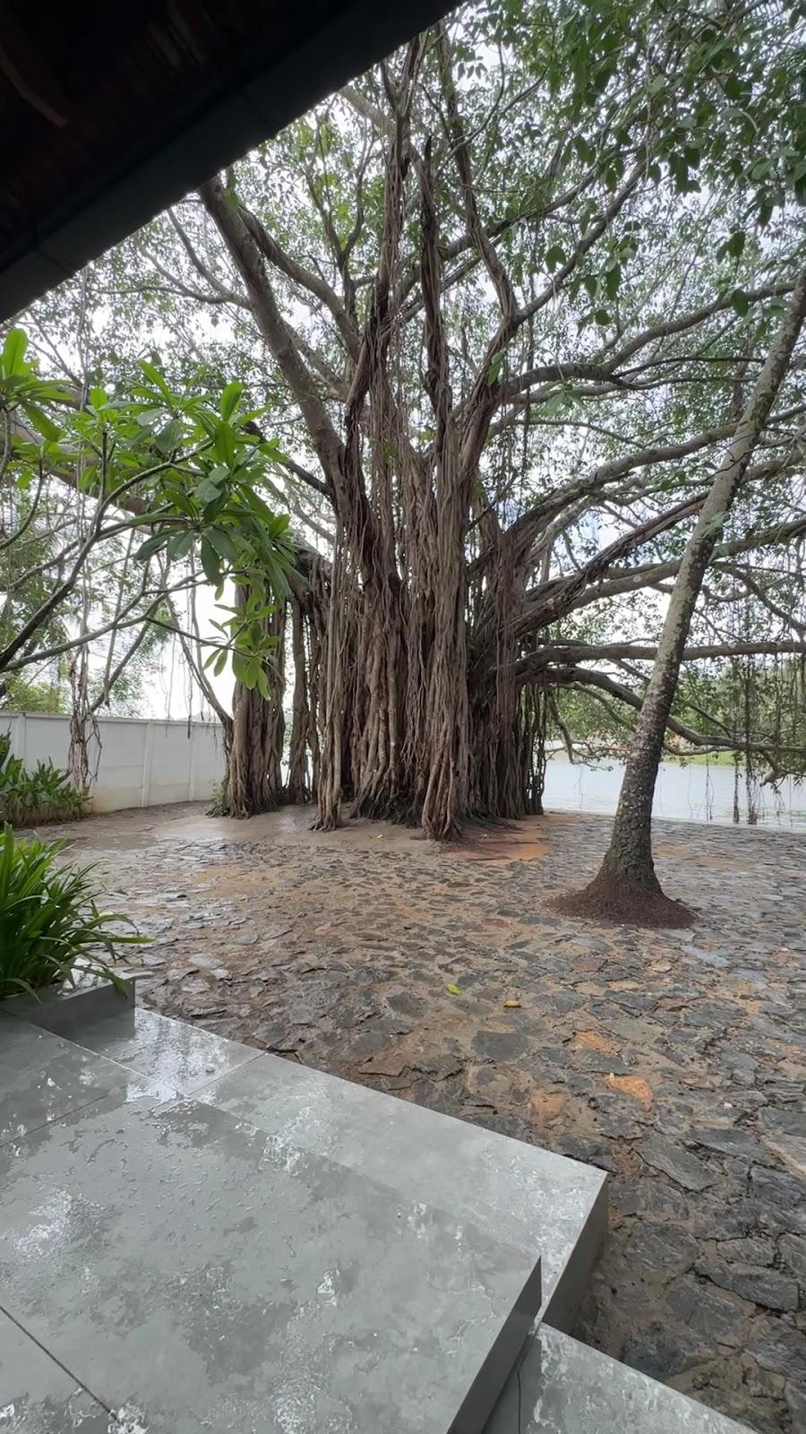 Coir Retreat – photo 2
