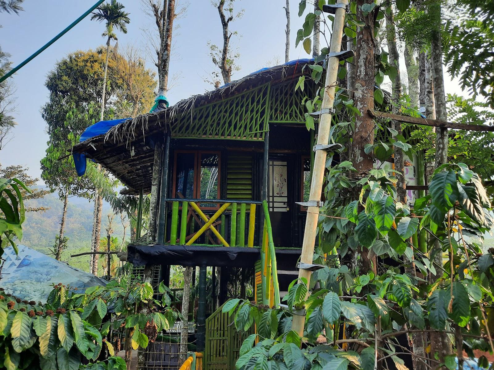 The Mountain Tree Home