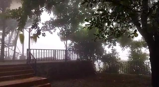 Moon Valley - A Tropical Hut - Palakkayam Thattu – photo 2