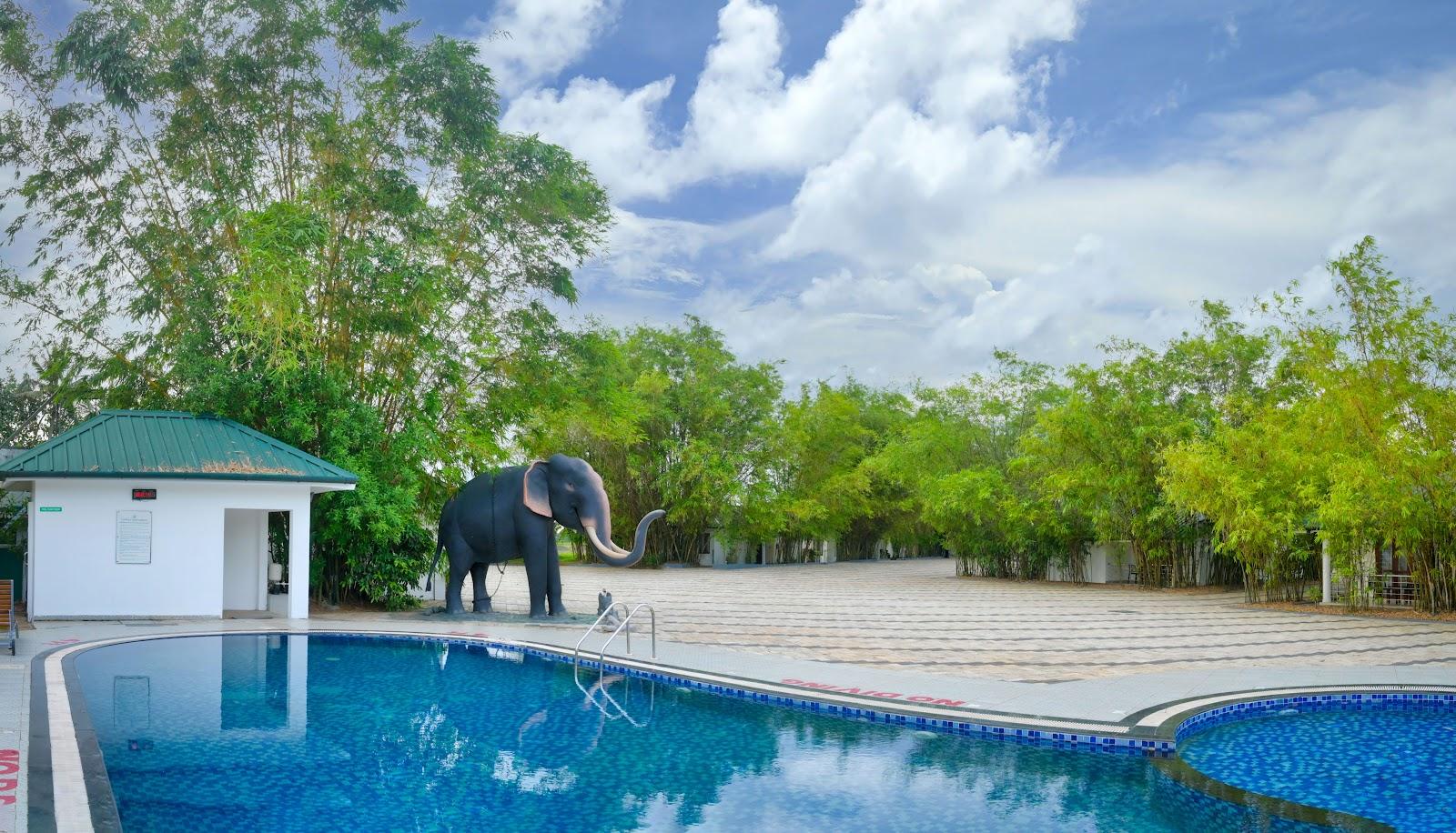 Contour Backwaters Hotel Resort & Convention Centre – photo 4