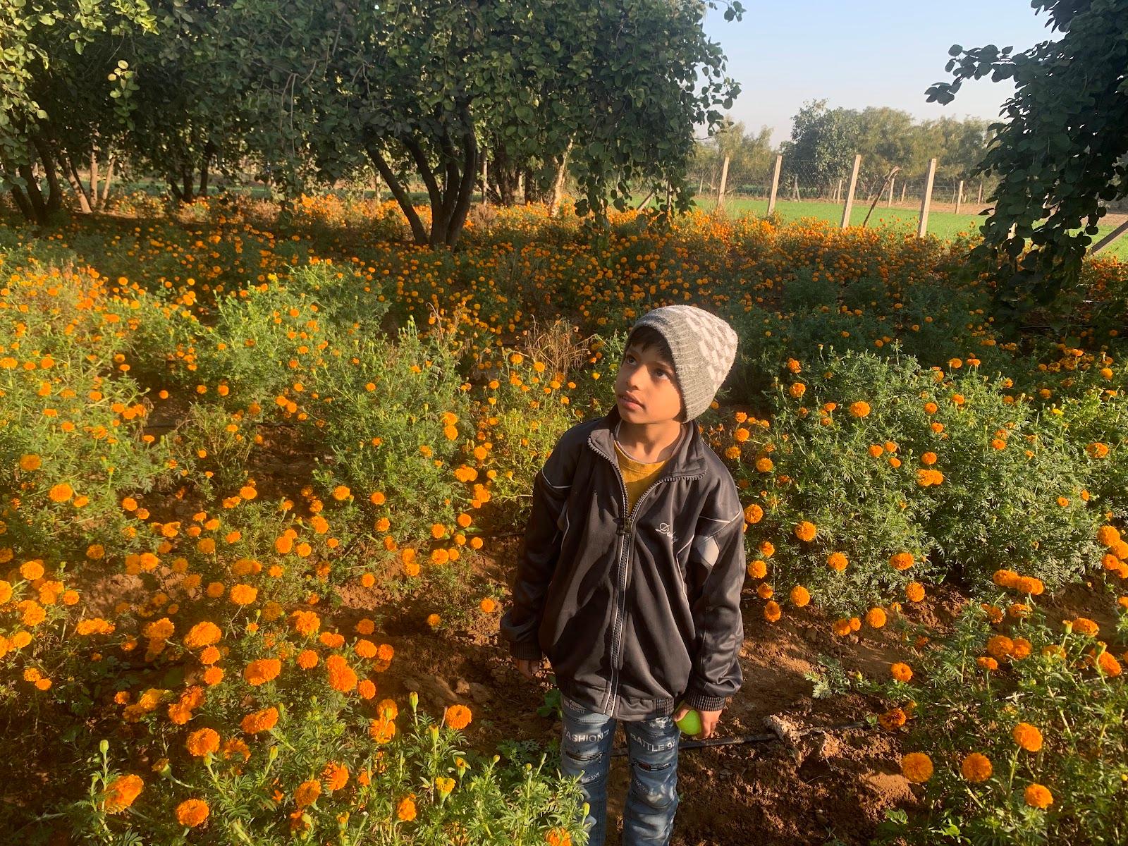 The Nature Pushkar Resort & Farm