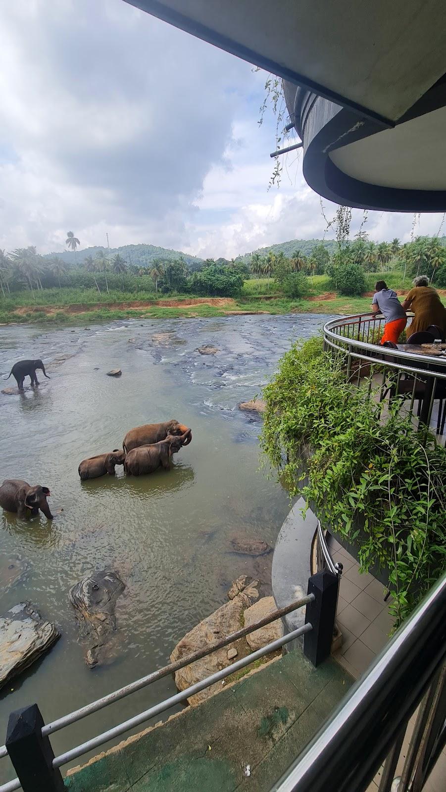 Hotel Elephant Park – photo 3