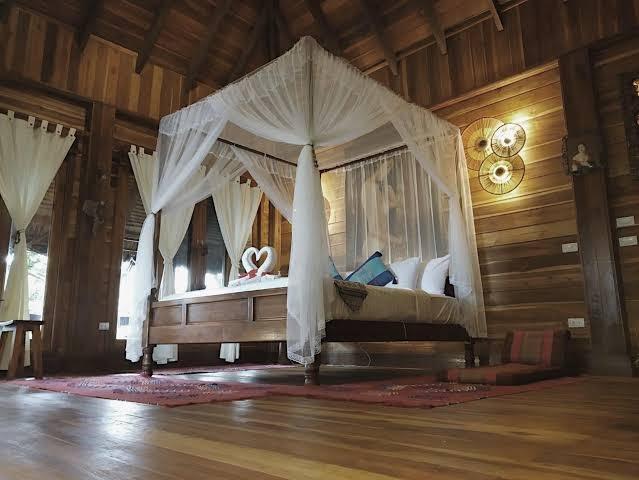 Viking Nature Resort – photo 1