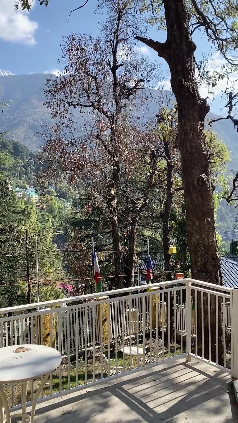Indulge Mcleodganj PACK – photo 4