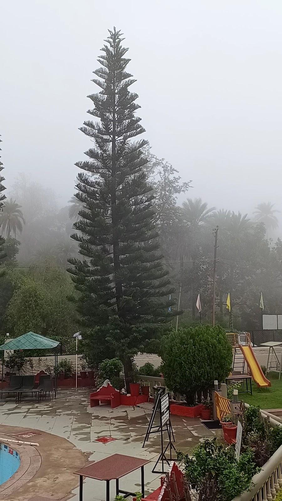 Hotel Savera Palace – photo 2