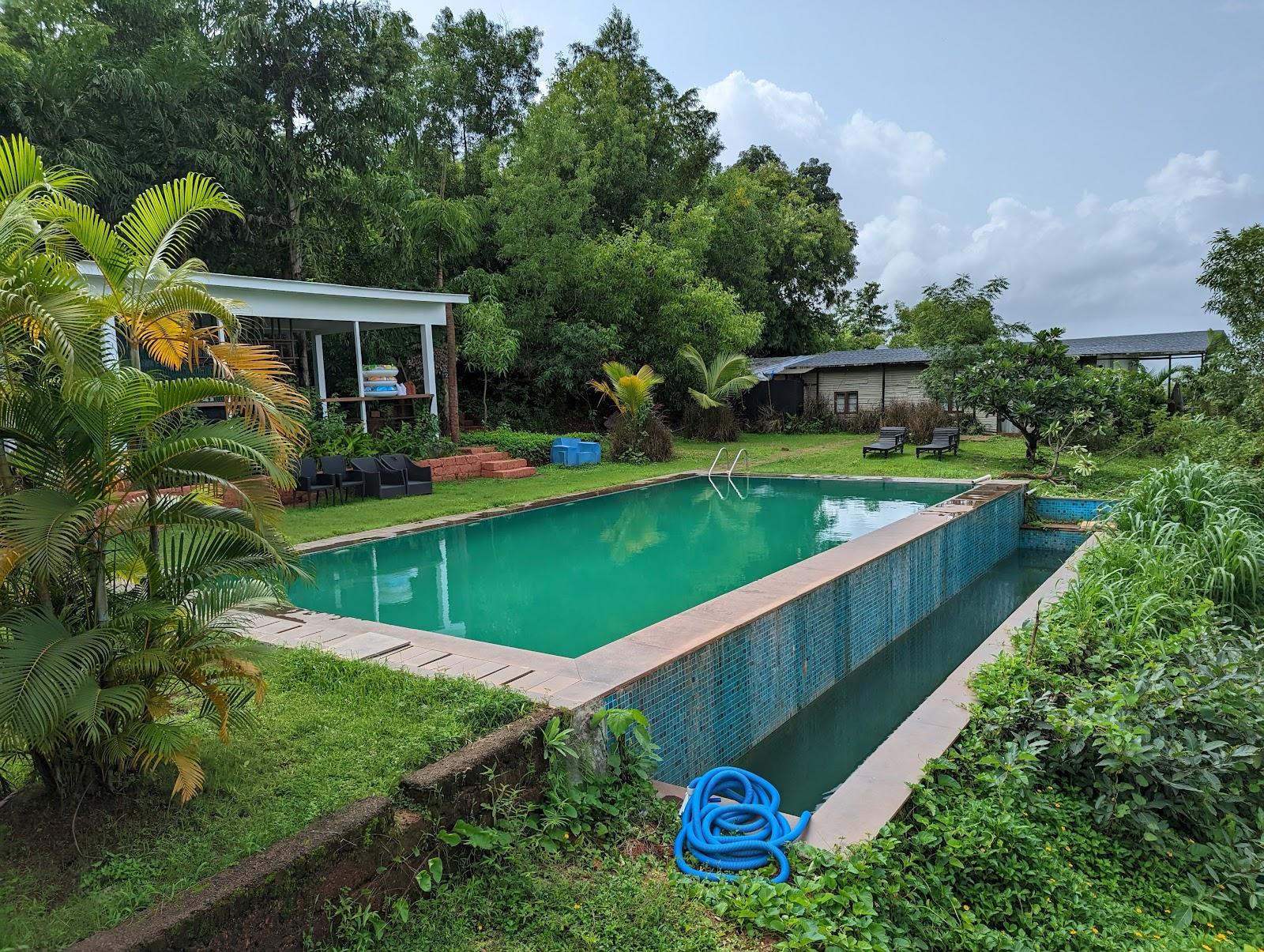 Forest Hills at Tala – photo 4