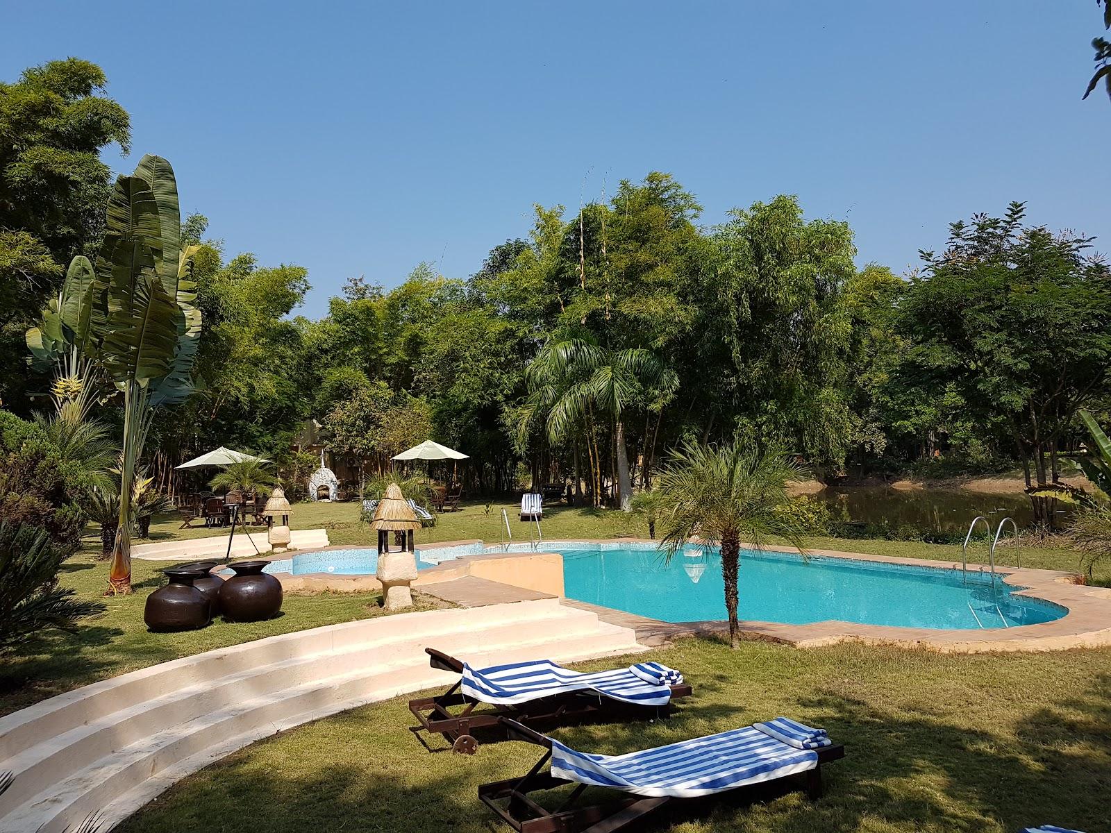 Tuli Tiger Resort – photo 4