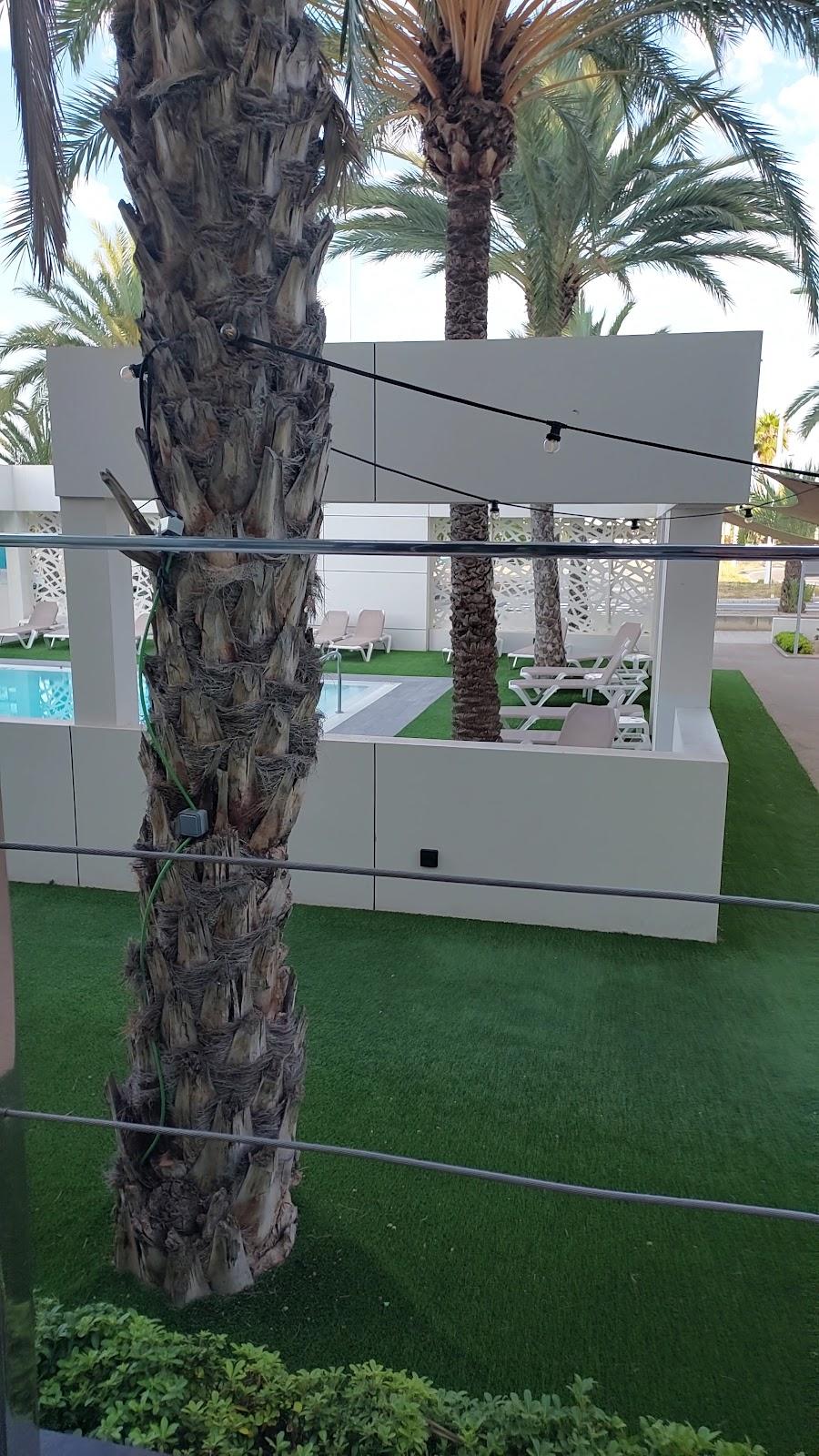 Hotel Port Elche – photo 2