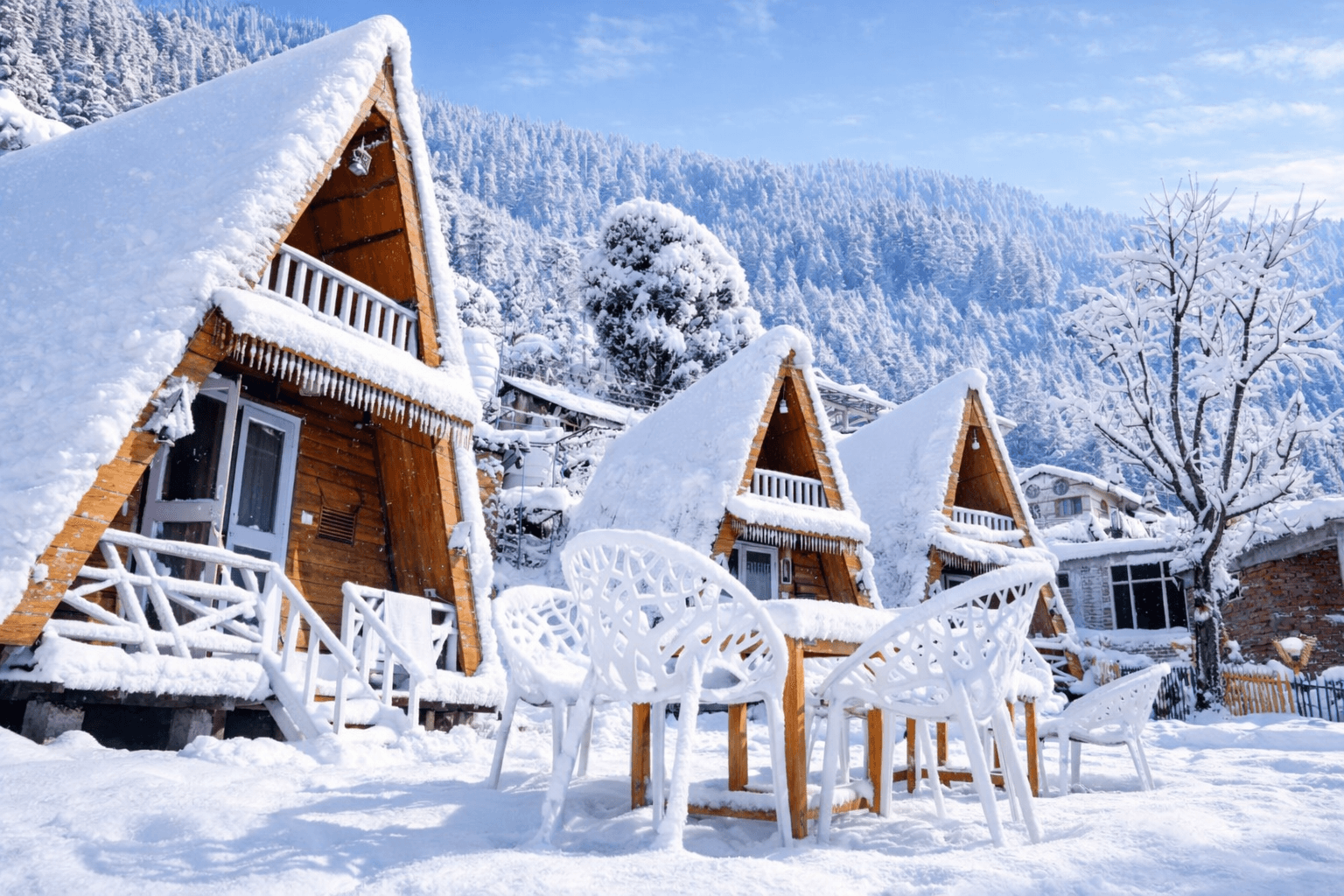 Chilux Manali – photo 4