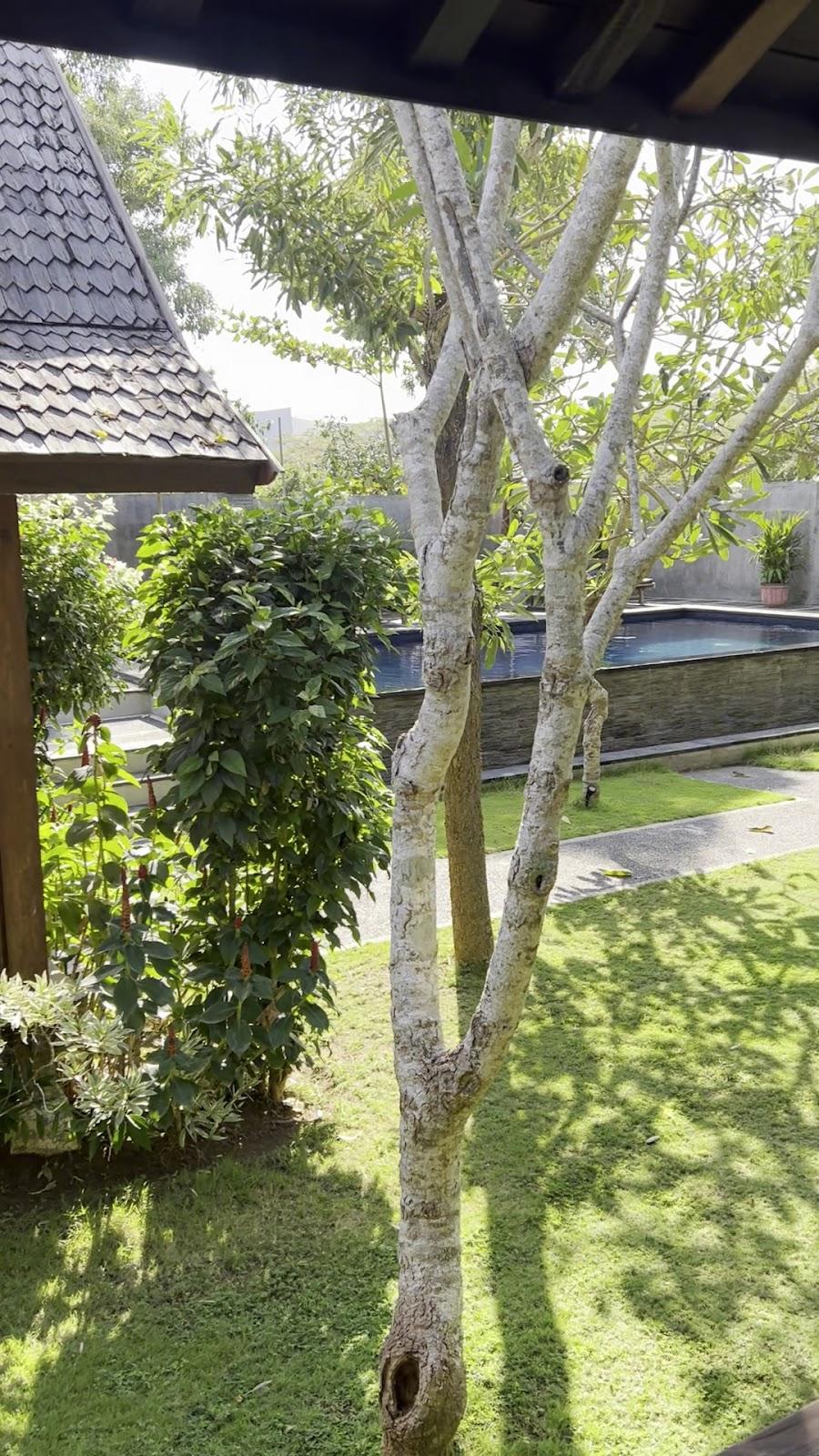 D'padang – photo 2
