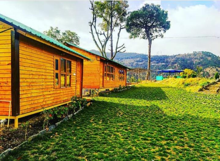 Golden Valley Cottages – photo 1