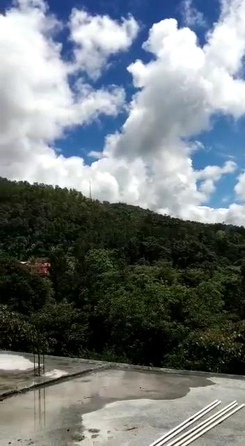 Madikeri Misty Homestay – photo 2
