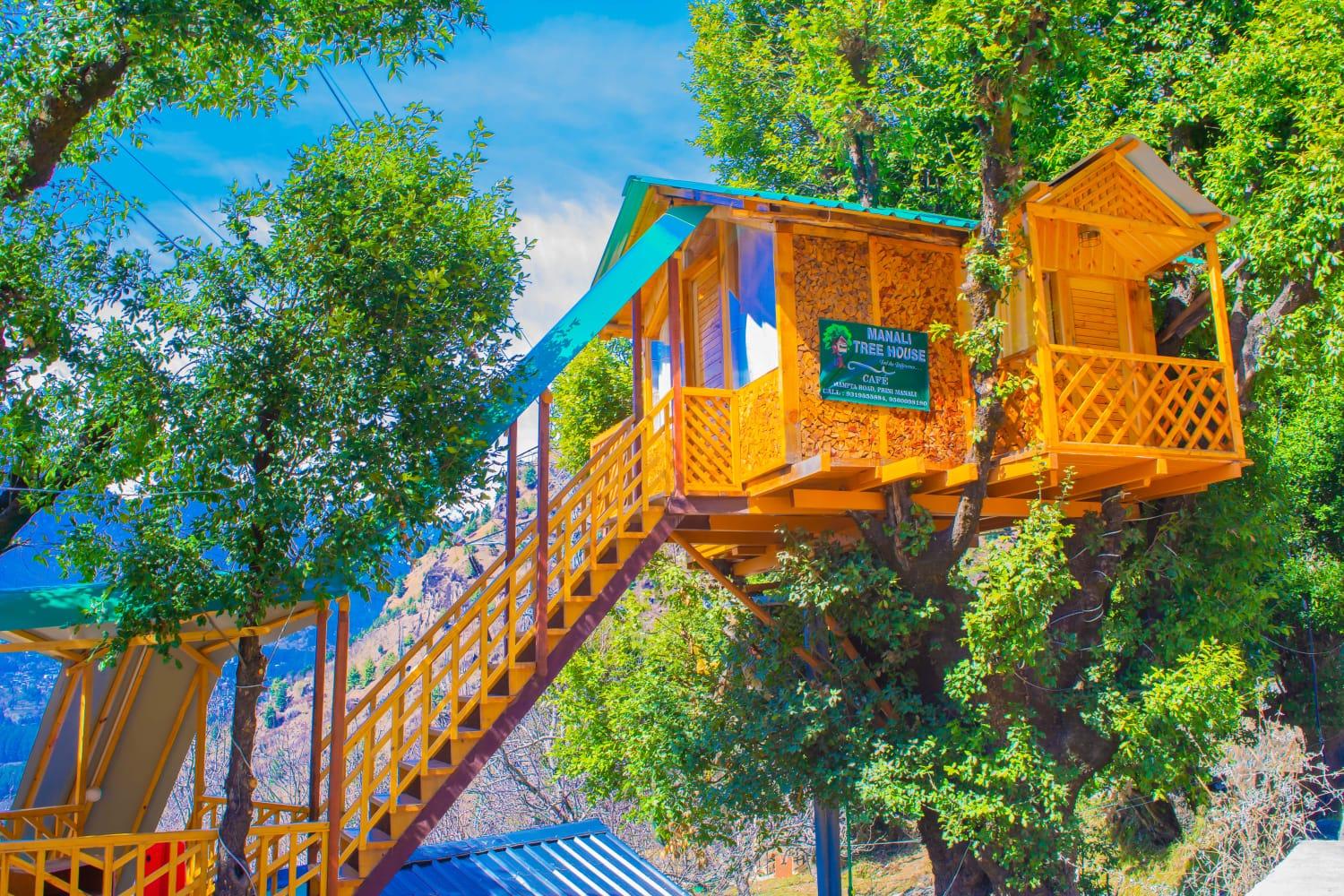 Manali treehouse & cafe – photo 1