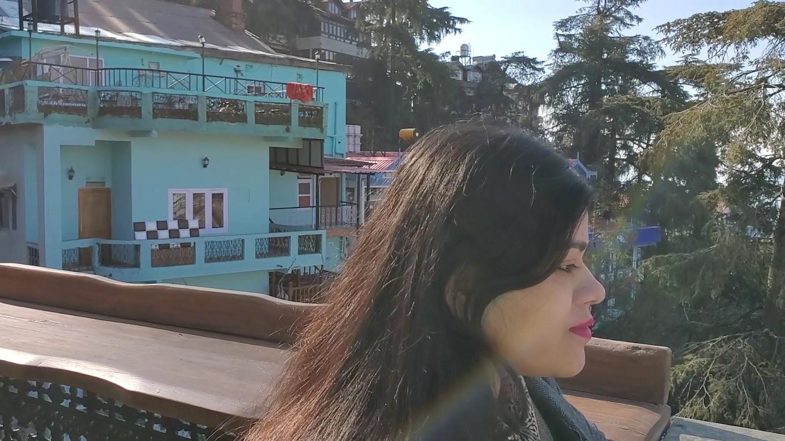 Hotel Willow Banks- Boutique 4 star Hotel on the Mall Road Shimla – photo 2