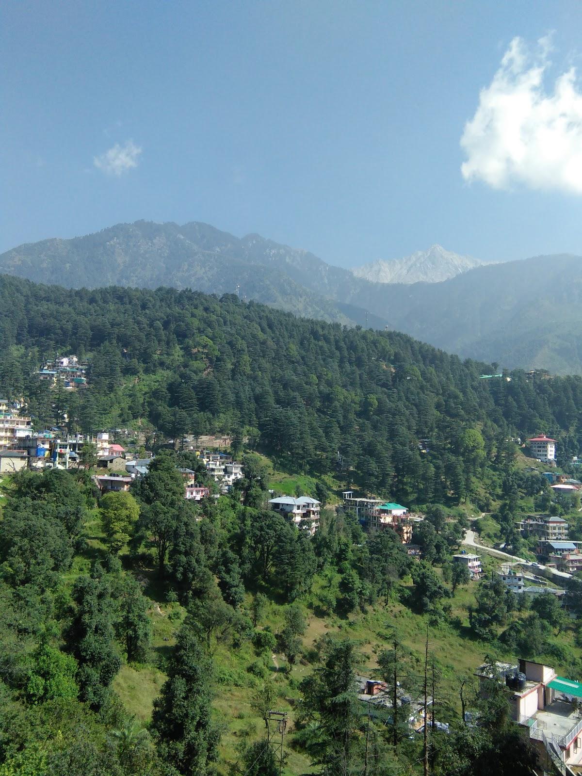 Chhaya Nivas – photo 4
