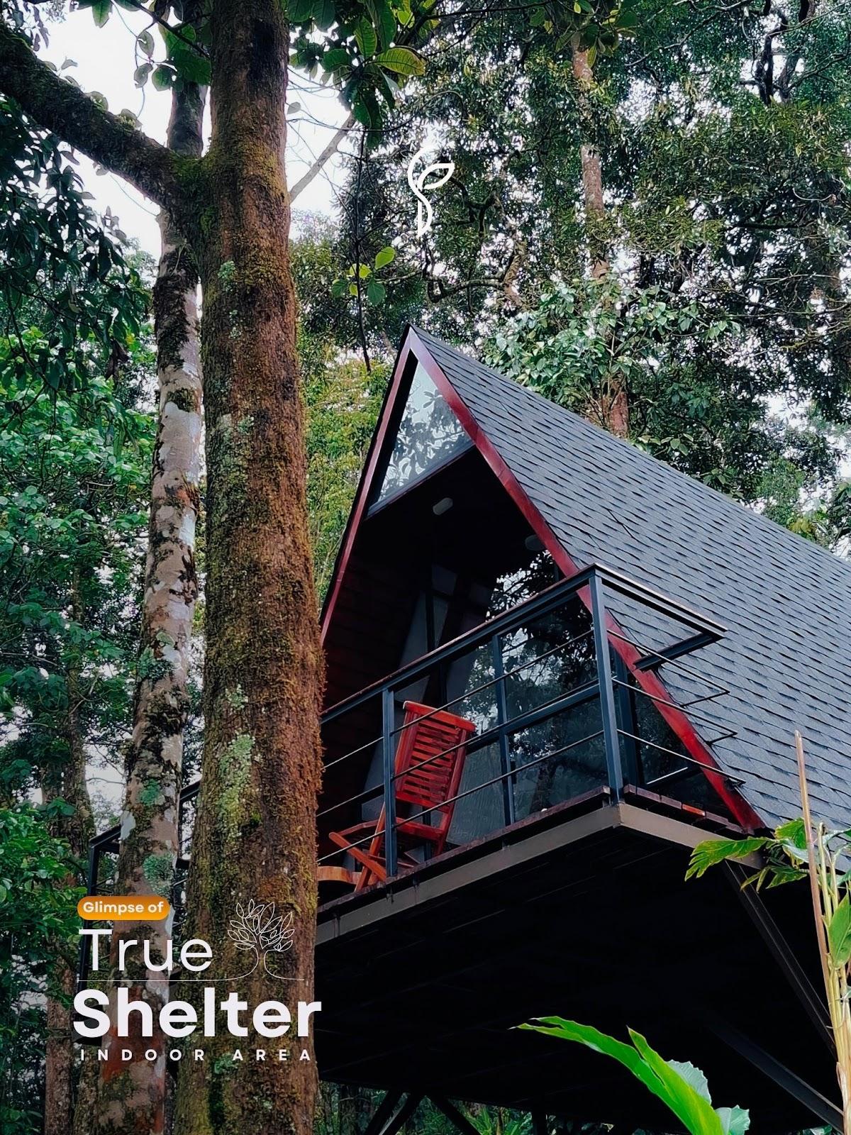 Forestscape Resort Munnar – photo 1