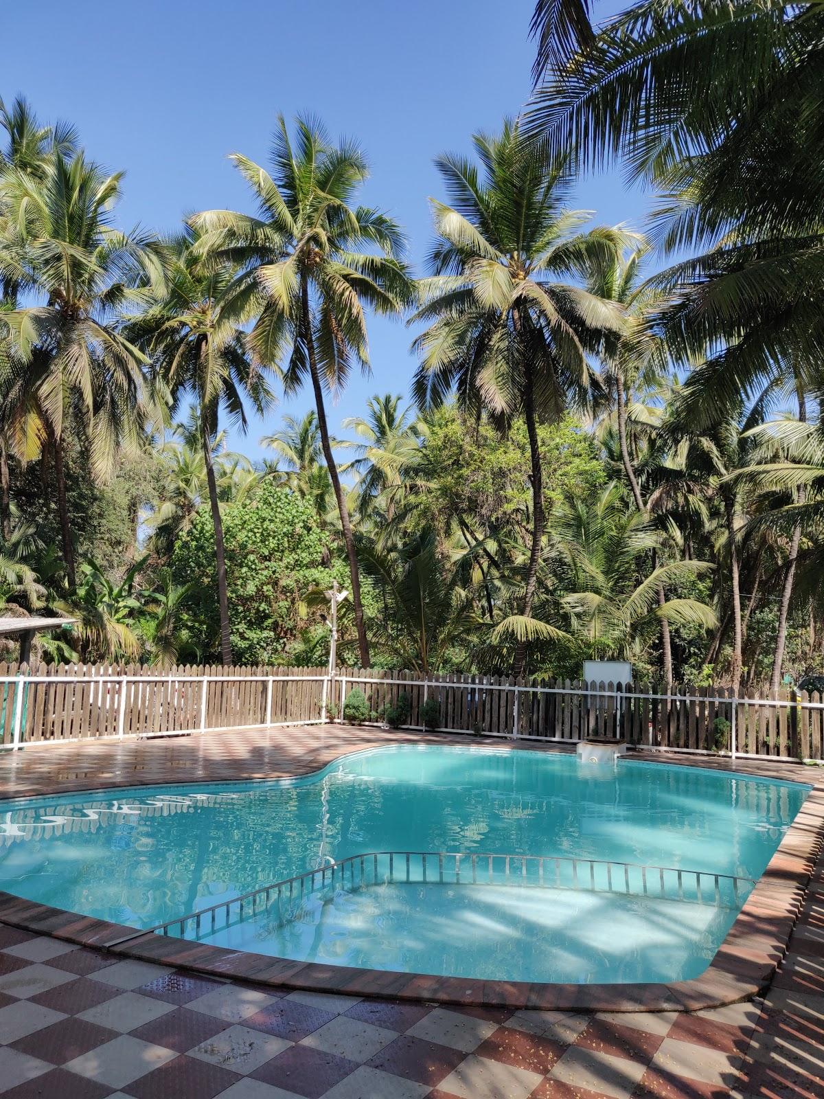 Betel Leaf Resort, kelwa beach – photo 4