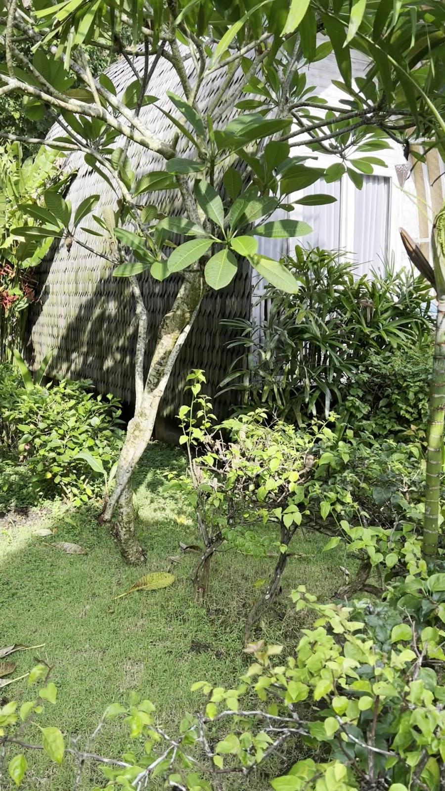 Uluwatu Lumbung Cottages – photo 2