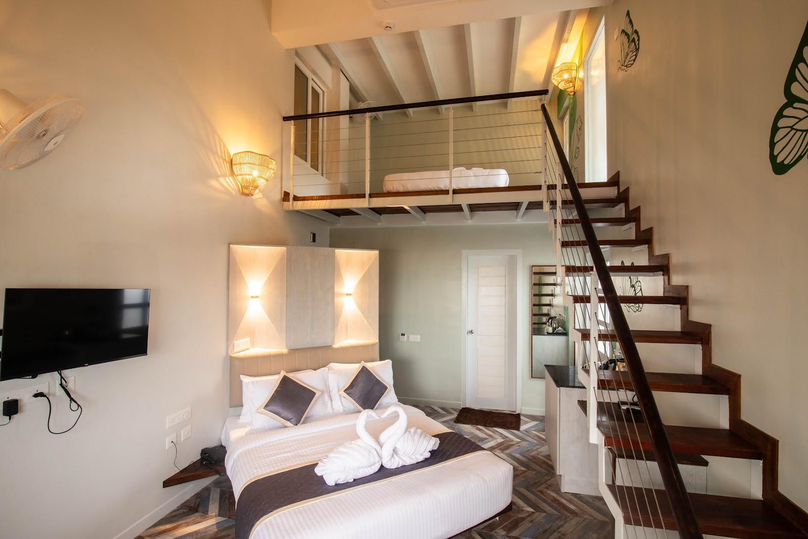 La Papillon Maison – photo 3