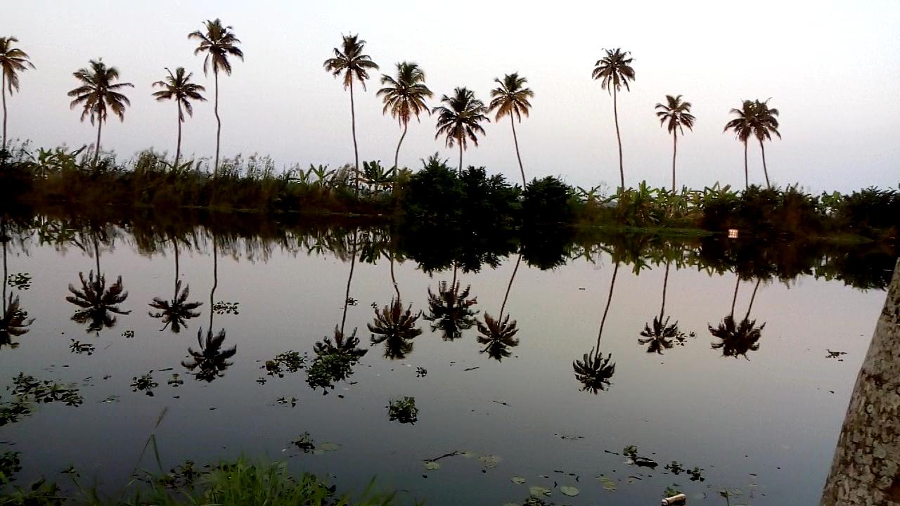 Manor Backwater Resort – photo 2