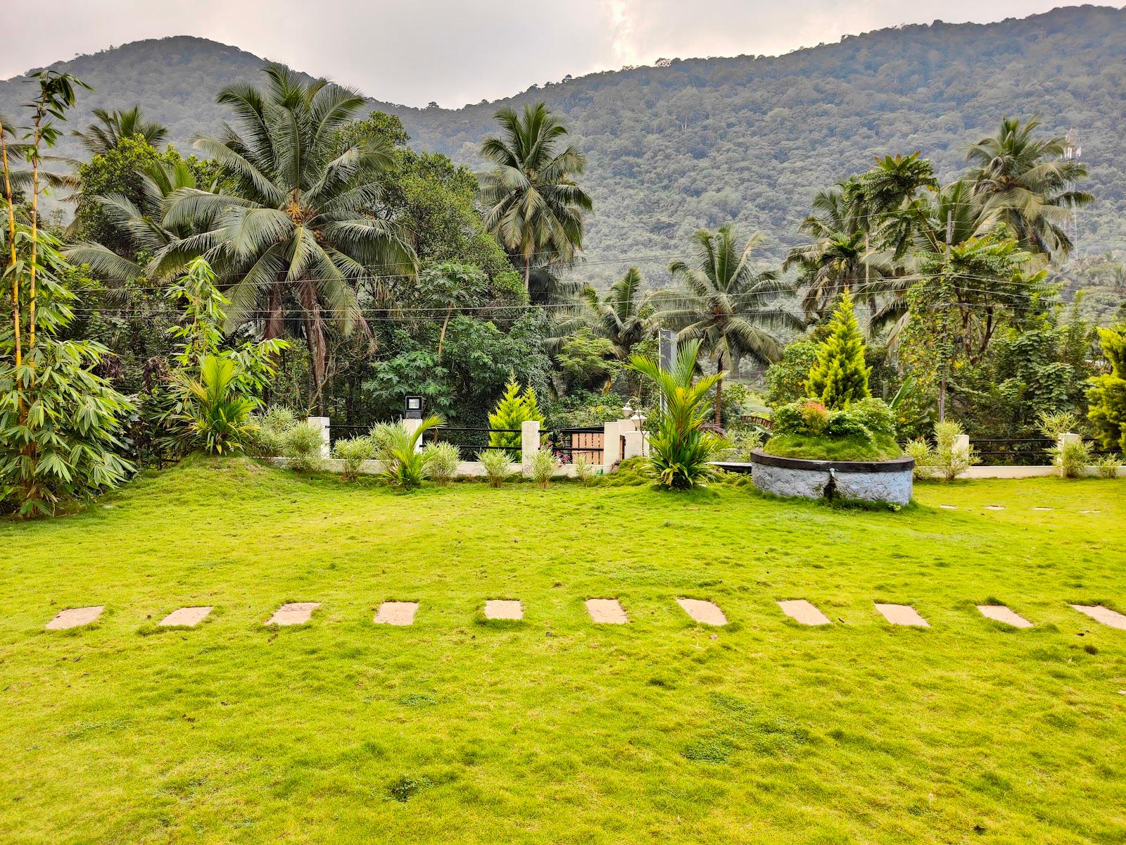Ambanad Estate – photo 2
