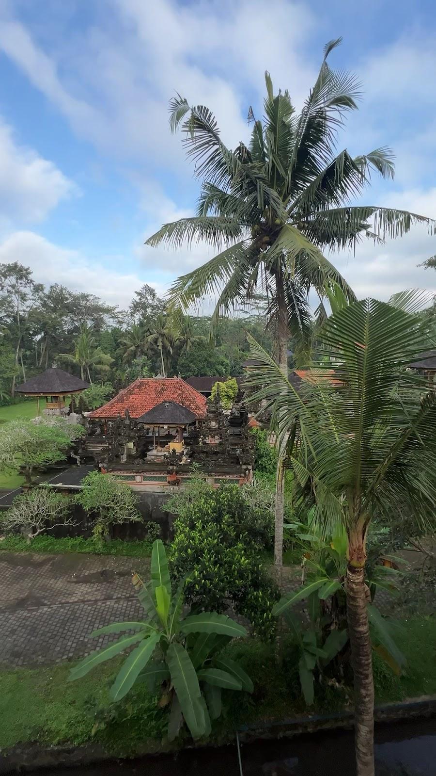 Jungle Vista – photo 2