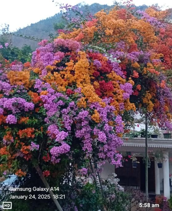 Motel Thamarassery INN Luxury and Budget Rooms – photo 2