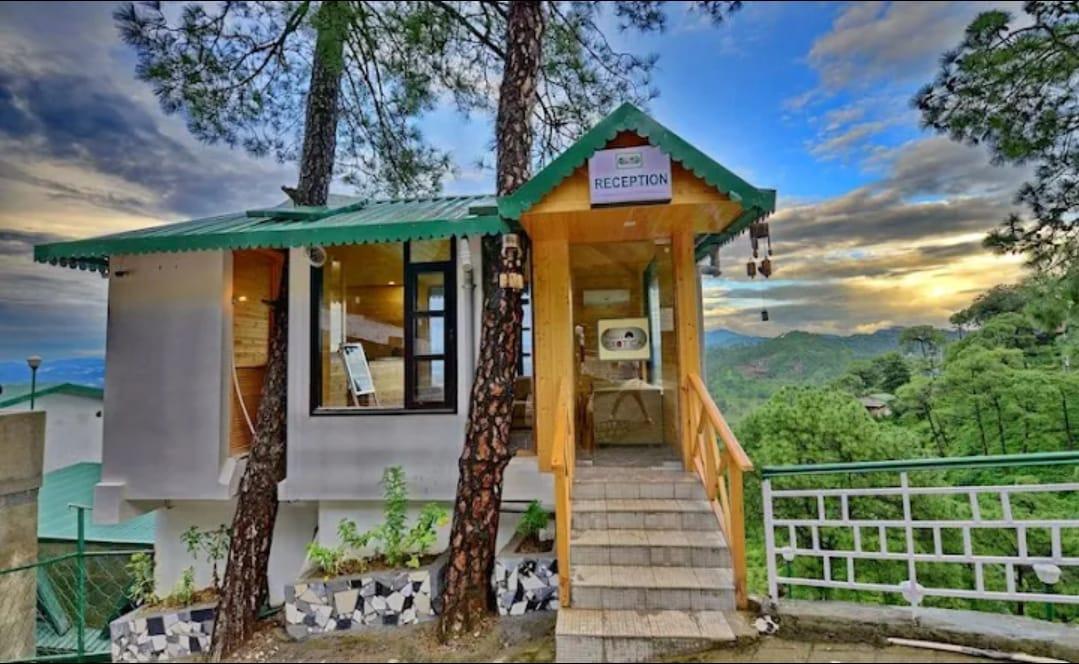 Kasauli Exotica