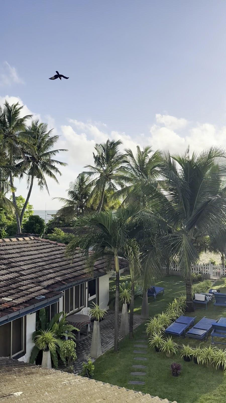 Star Beach Hotel – photo 2