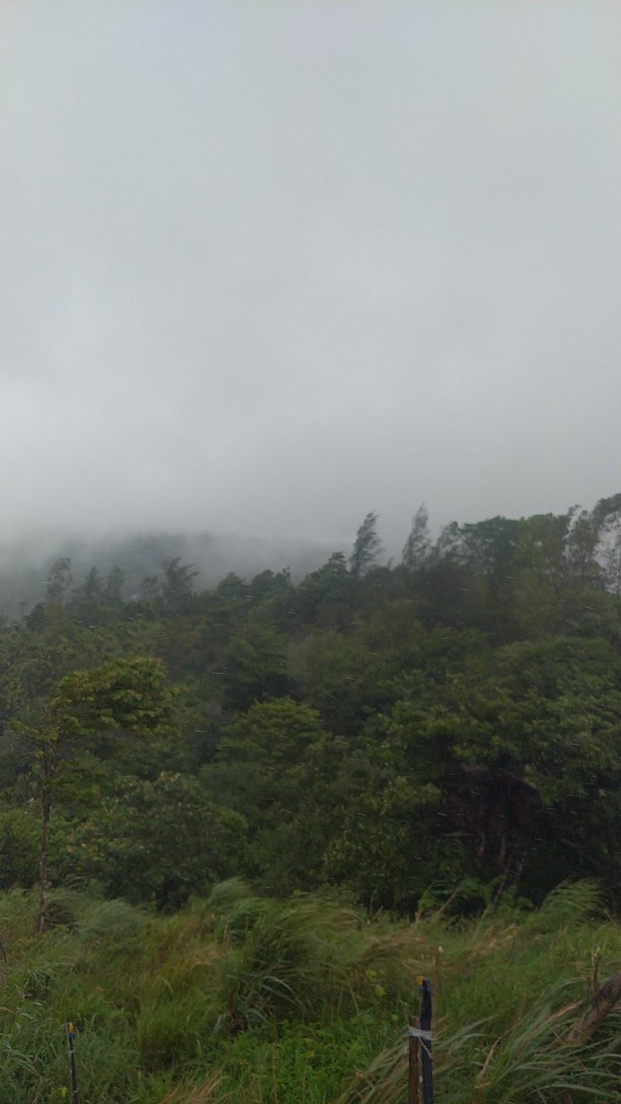 Attapadi Farm Stay – photo 1