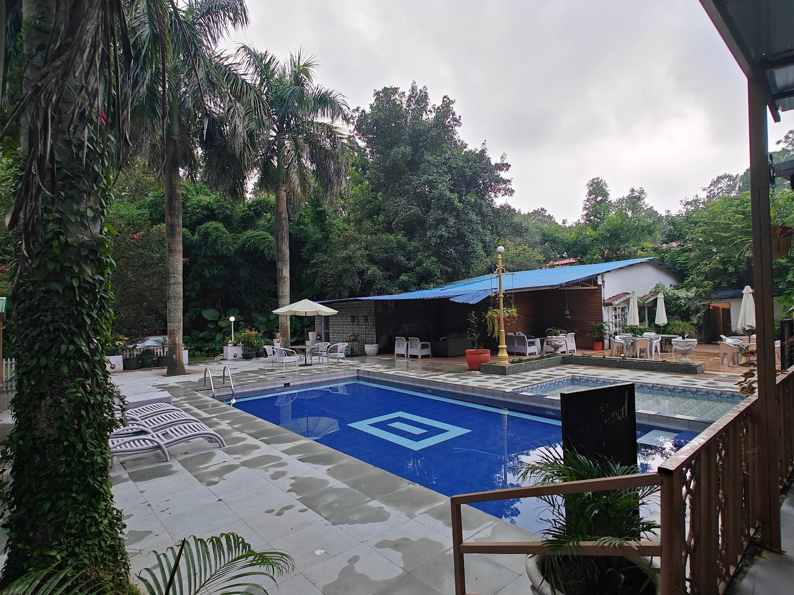 Mike's Forest Retreat – photo 4