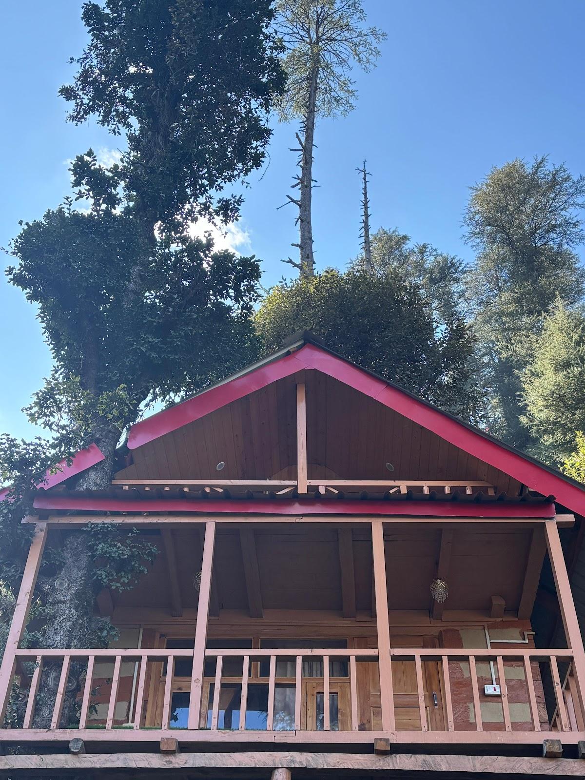 Solitaire - Kathkuni Farm Stay – photo 3