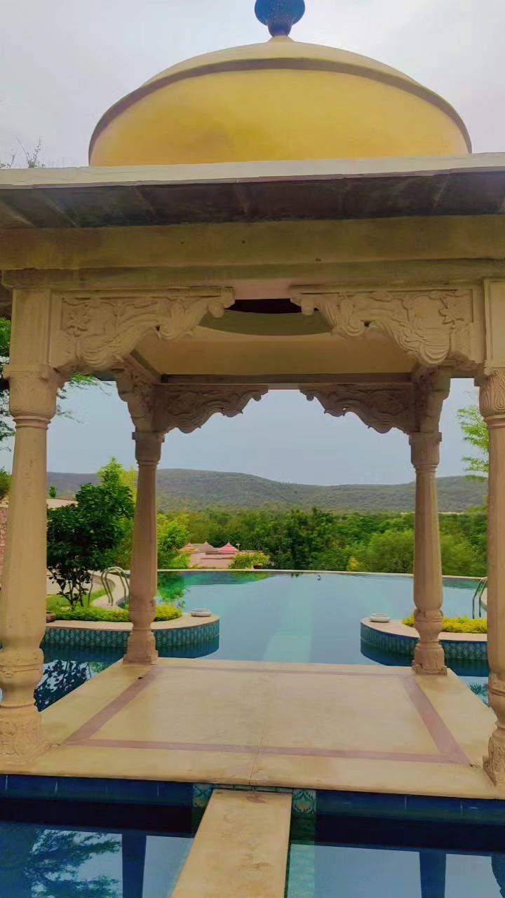 Tree of Life Resort & Spa, Jaipur – photo 2