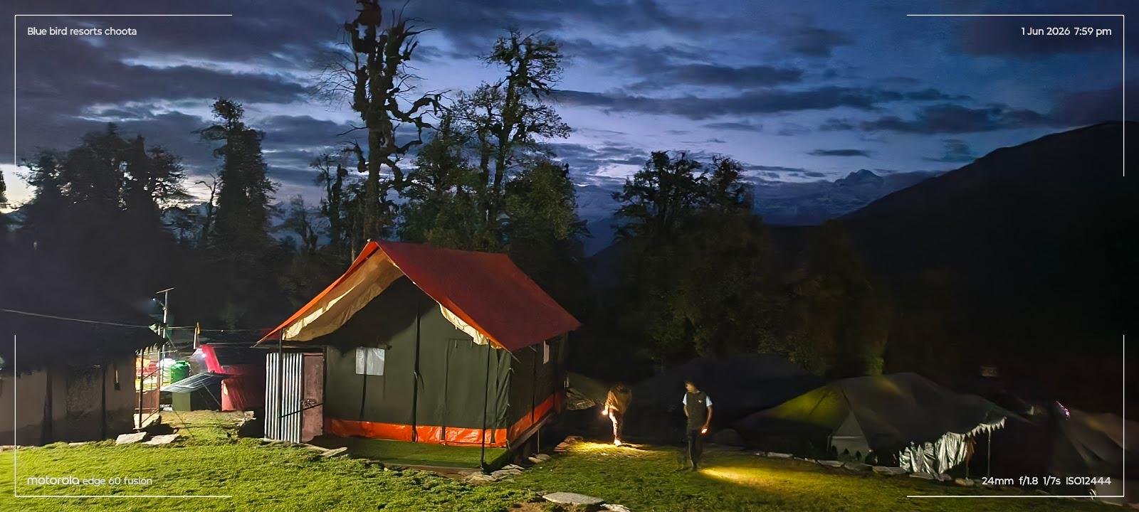Blue Bird Resort | Chopta, Uttrakhand | Luxury Camping | Best Adventure Activities in Himalyas – photo 1