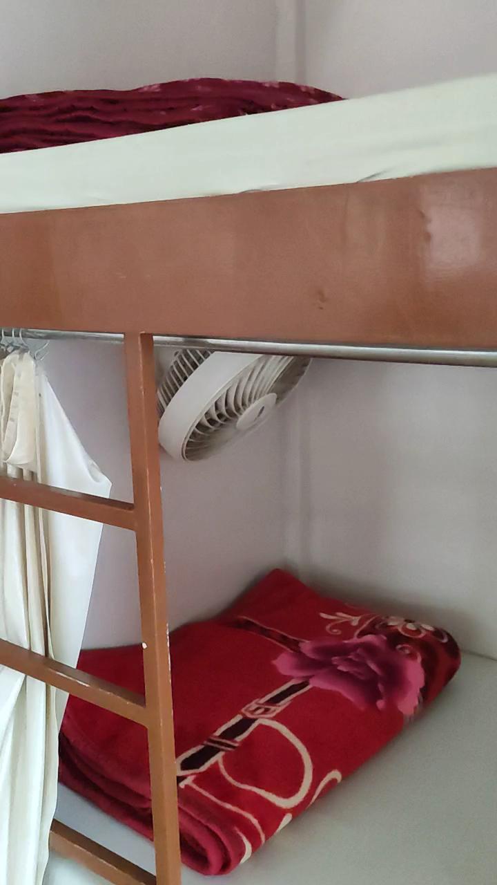 Mango Tree Guest House – photo 2