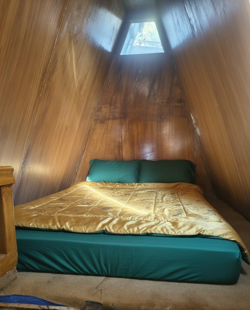 Chilux Manali – photo 2