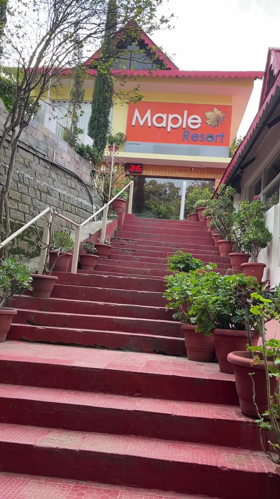 Maple Resort - Chail, Solan, Shimla – photo 2