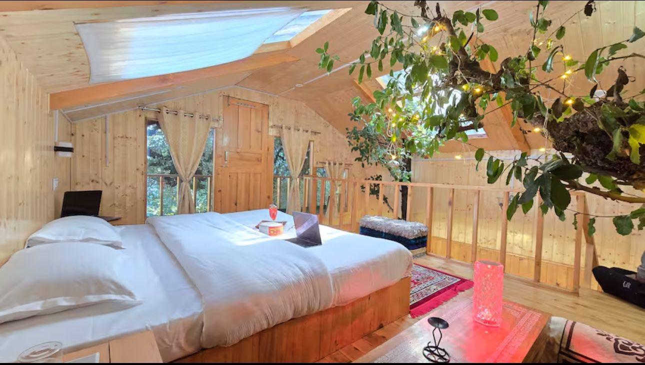Sukoontreehouse@tandi, jibhi Himachal pradesh – photo 4