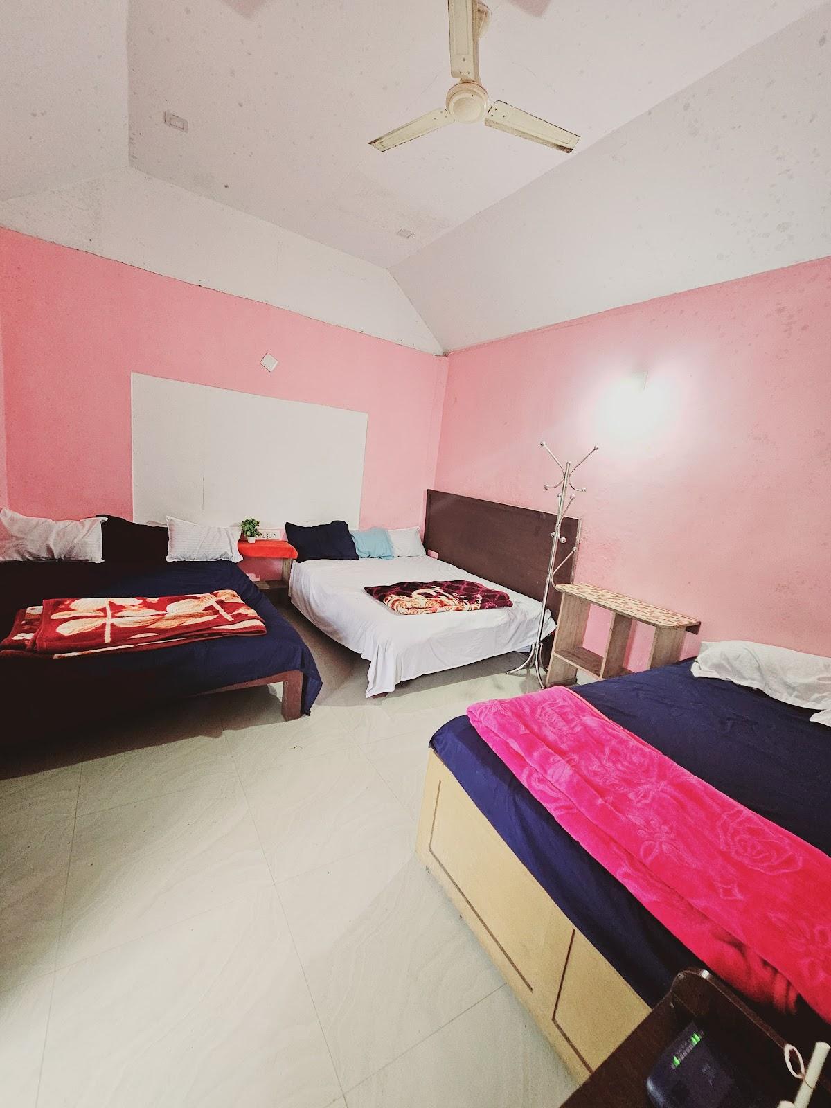 Munnar Green portico cottage – photo 2