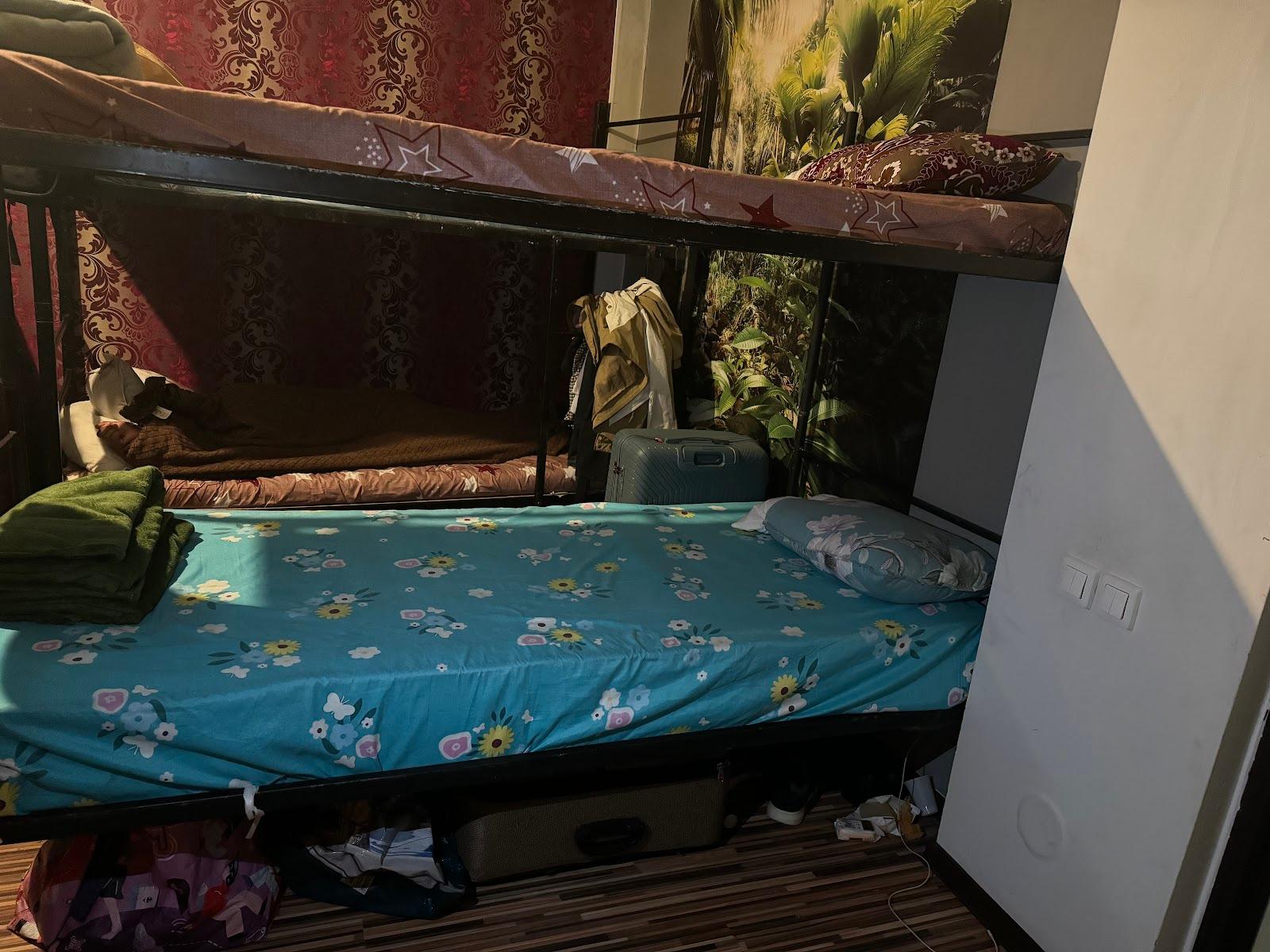 Nepali hostel (नेपाली होस्टेल ) – photo 3