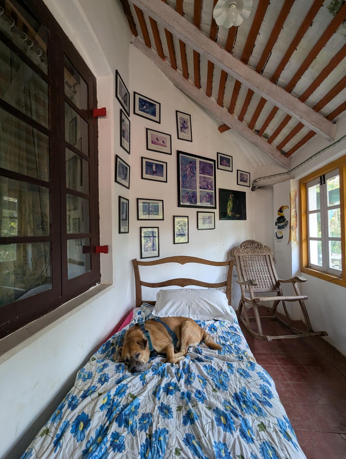 Regent Hill Side Villa & Resort @ Yercaud ( The world's HAPPIEST hotel - only for the nice people) - PURE NON-VEGETARIAN RESORT – photo 3