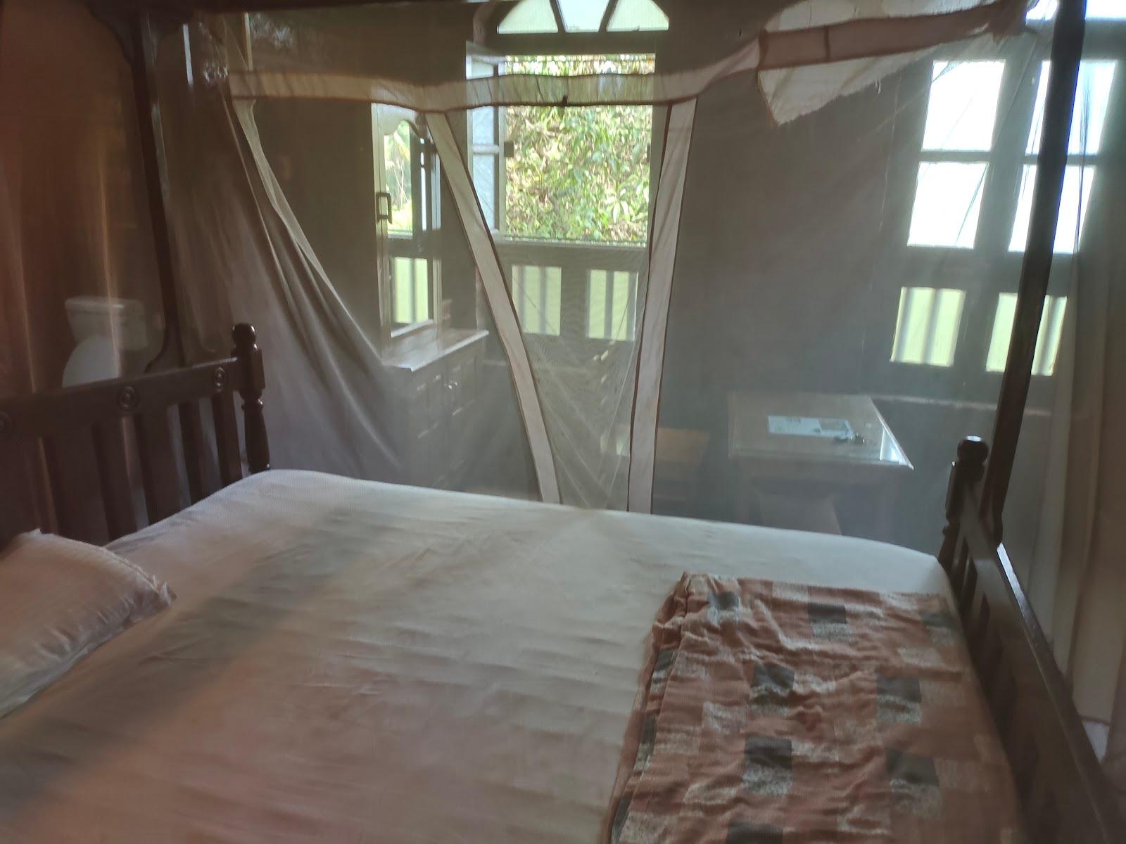 Dr Nimkar's Konkan Nest Resort – photo 3