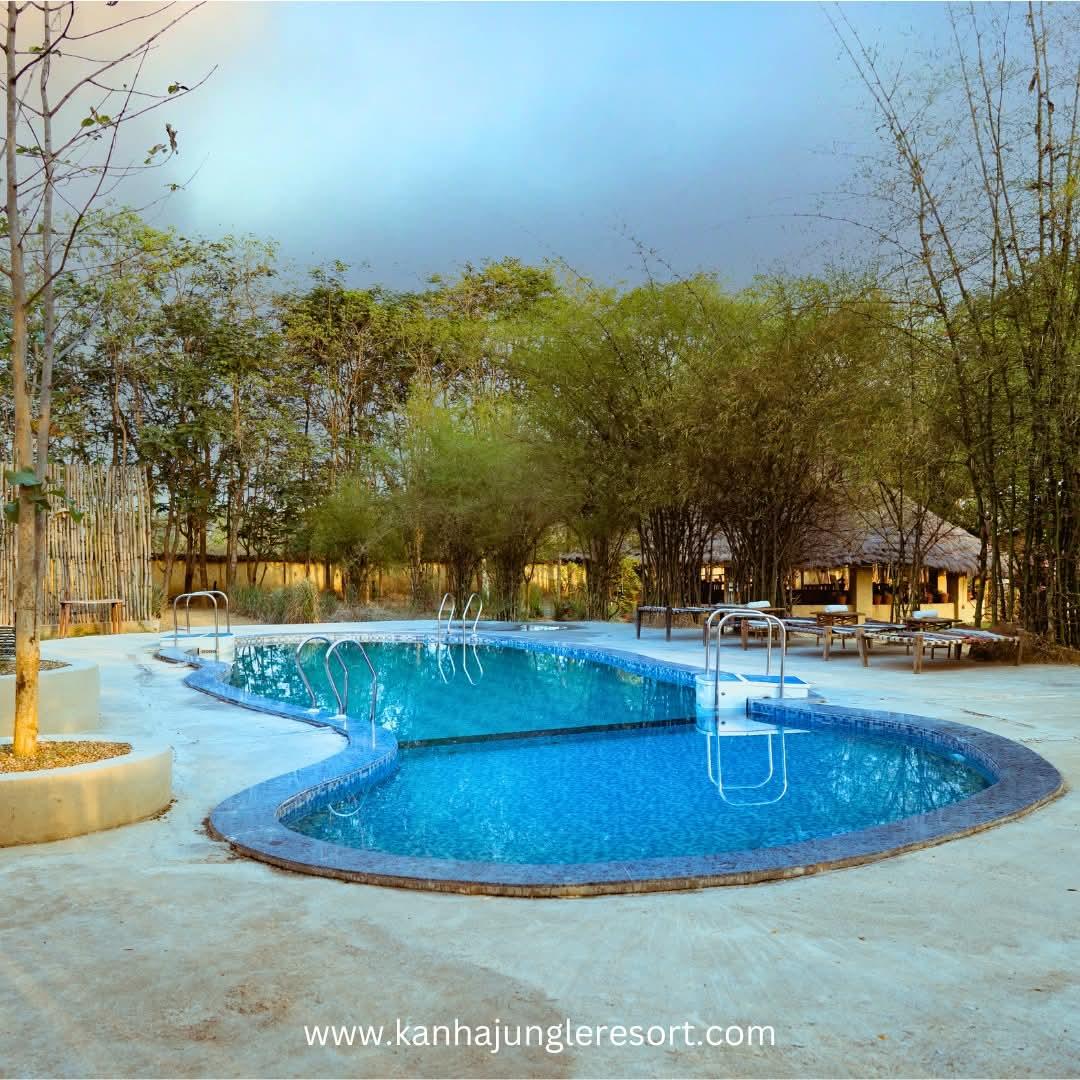 Kanha Jungle Resort – photo 4