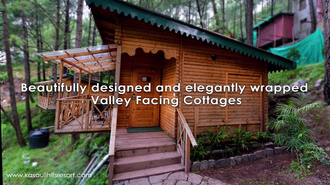 Kasauli Hills Resort - Best Luxury Resort and Hotel – photo 2