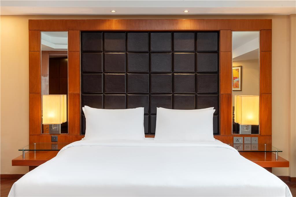 Radisson Blu Plaza Hotel, Delhi Airport – photo 3