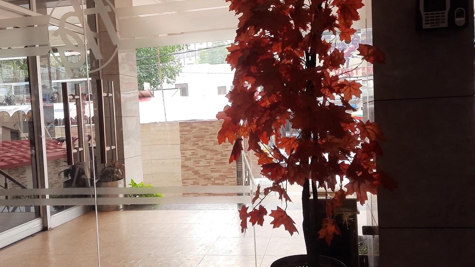 Hotel Paradise Ganga River Side – photo 2