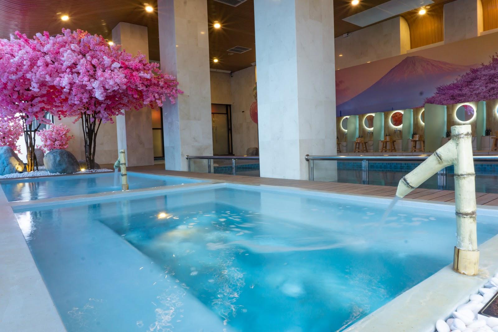 The Yanné, Onsen Hotel – photo 1