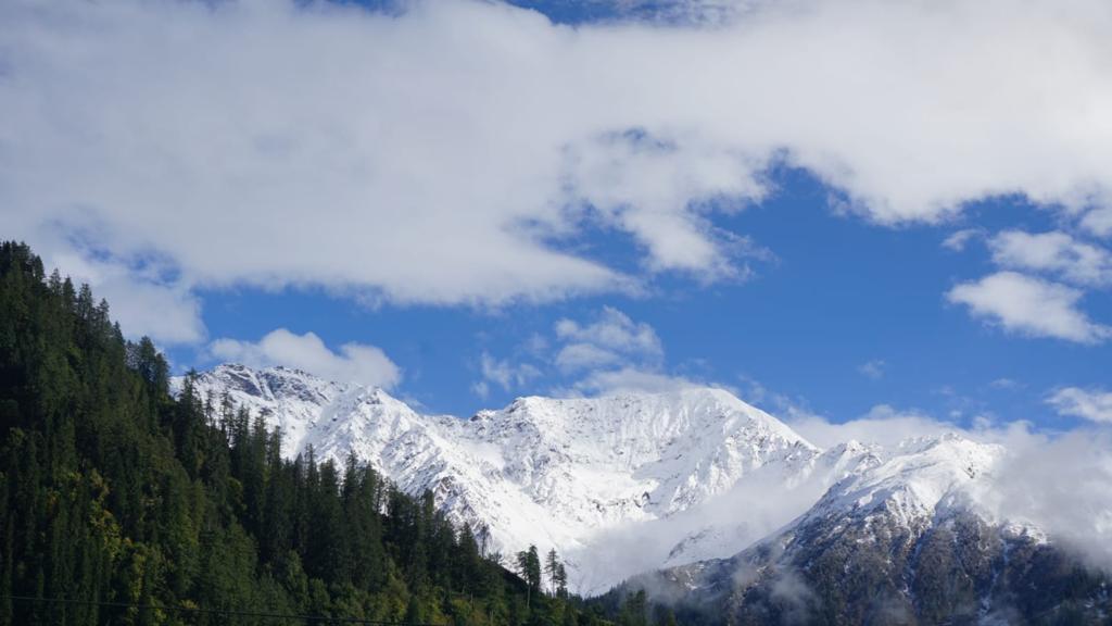 Shiva Mountain Guest House & Cafe – photo 4