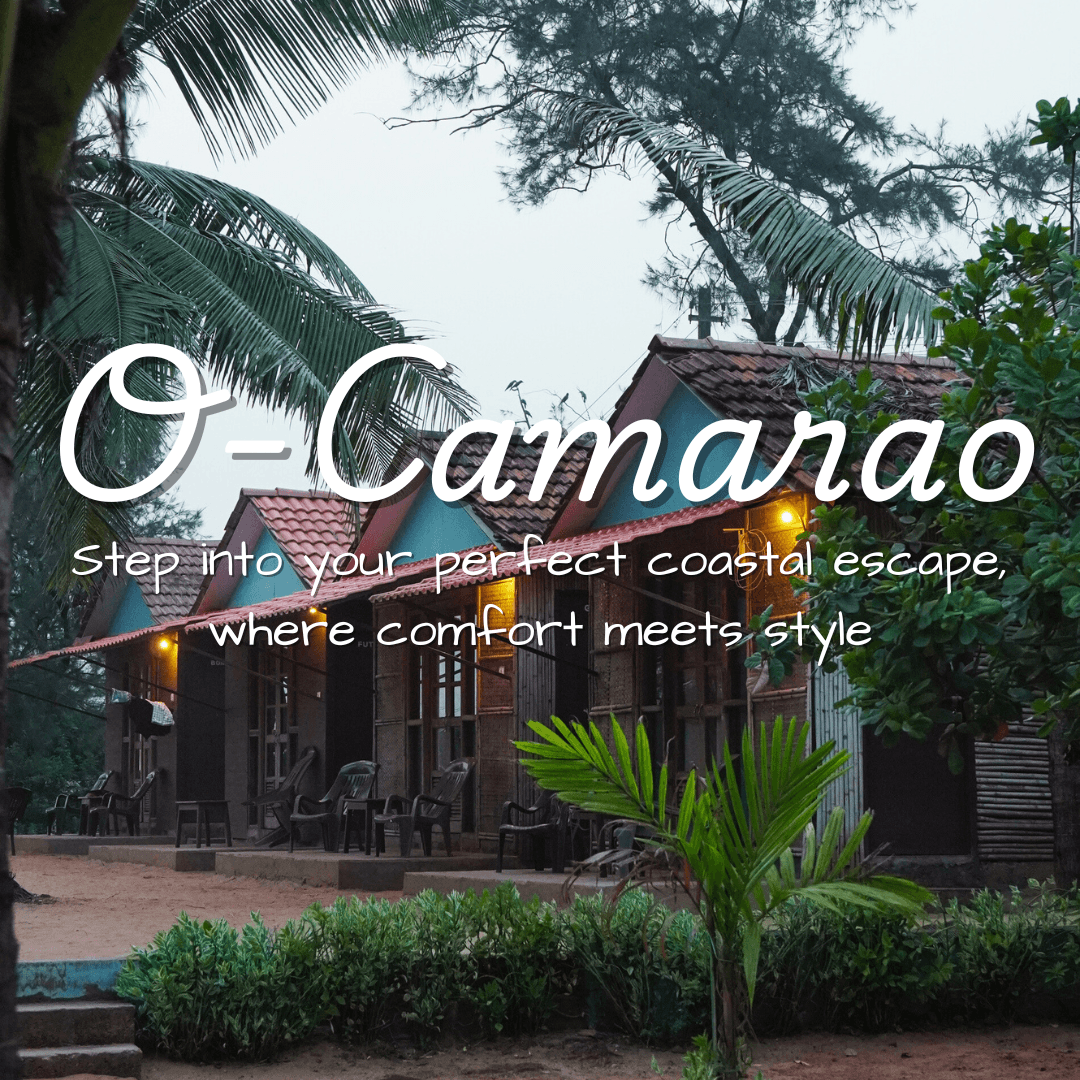 O Camarao – photo 1